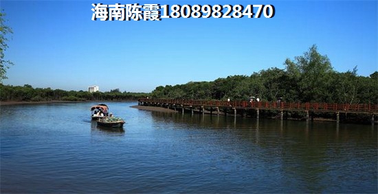 国贸中南梧桐原3室2厅2厨2卫建面115.00㎡